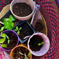 new moon ft/ 4EVASOUL