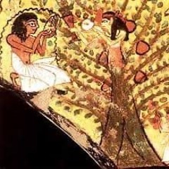 tree of life