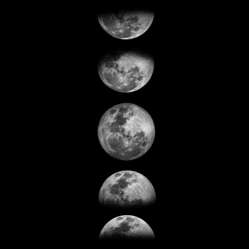 SHADOWS OF THE MOON