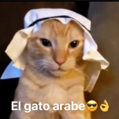 Gato Arabe