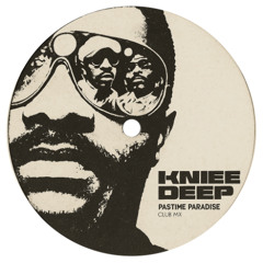 Knee Deep - Pastime Paradise (2004)