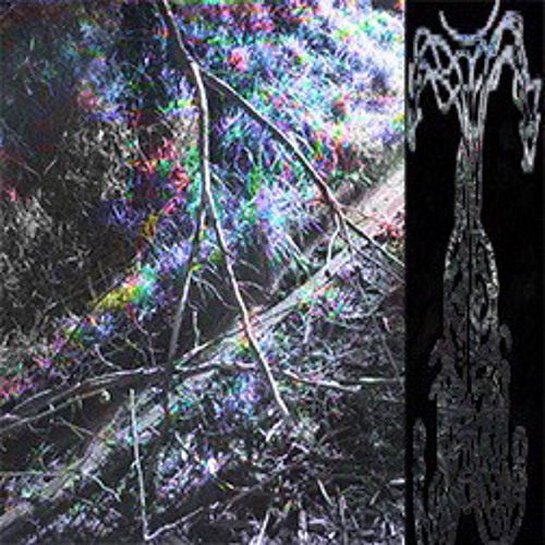 #M$B Luciferase Prod.st47ic