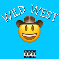 Wild West W/ Ha7o The Saiyan x Cto Chop (Prod. Cyfal)