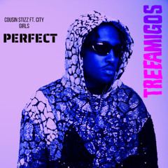 Cousin Stizz ft. City Girls - Perfect (TreeAmigos Bootleg)