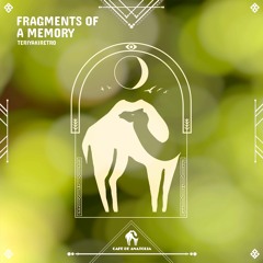 TERIYAKIRETRO - Fragments Of A Memory (Cafe De Anatolia)