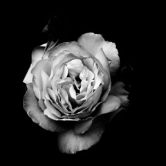 Smooth Melodic Jazz Rap Beat