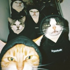 Atmospectrum - WhaaMo (230)