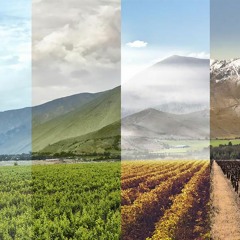 Episode 3 Patterning With The Seasons