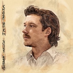 Morgan Wallen - Whiskey’d her away (AI)