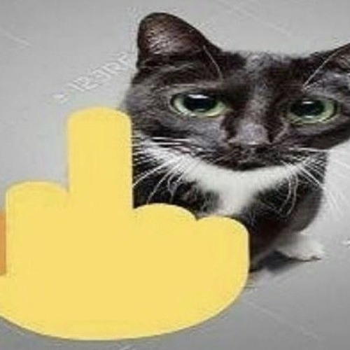 mindless-self-indulgence-faggot (spedup).mp3