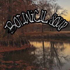 botanical soup
