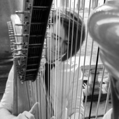 Glière - Harp Concerto Op.74 I. Allegro moderato