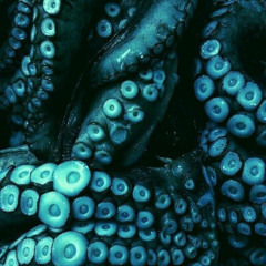 Lucki Type Beat - "OCTOPUS" (prod.h3rm3s)