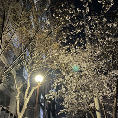 생각에 잠기곤 해 (Feat. INNWYORK)