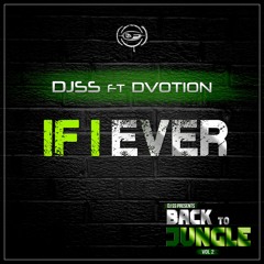 Back To Jungle Vol 2 #Formation Records