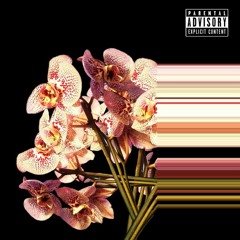 Preciously in Love with Preciousnesss