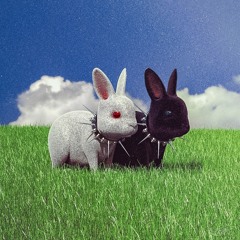 babybunny<3 prod. laayz