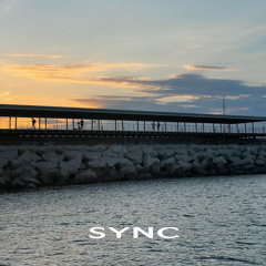 SYNC Mixtape: REI