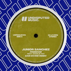 Junior Sanchez - Freedom ft. Charlie Vox (Sam Divine Remix)