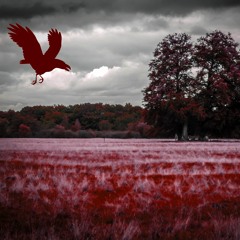 Fields Of Melancholy