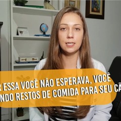 Por essa você não esperava: você está dando restos de comida para seu cão