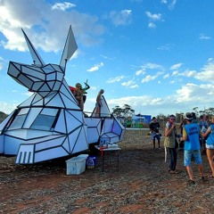 Magnedic PsyCoRelic21