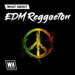 EDM Moombahton Drums & Melody Loops | EDM Reggaeton