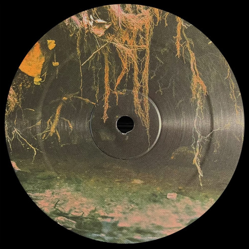 Wonka - Sugar Daddy ( out on Biotope03)