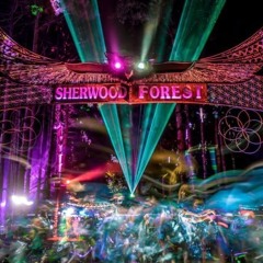 Elements Electric Forest Set 6.25.23