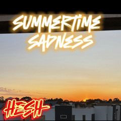 Summertime Sadness ( Lana Del Rey remix )