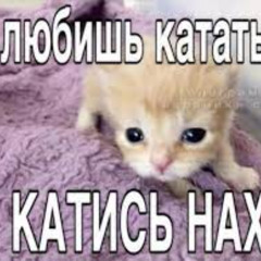 Хороший день (CVO ON THE BIT)сука