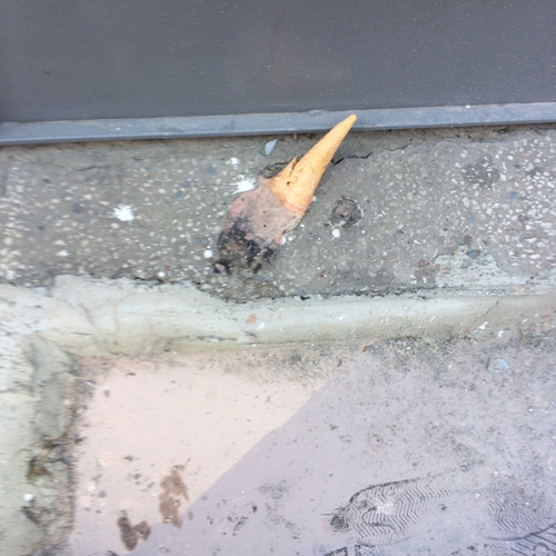 my gin fall from zeppelin