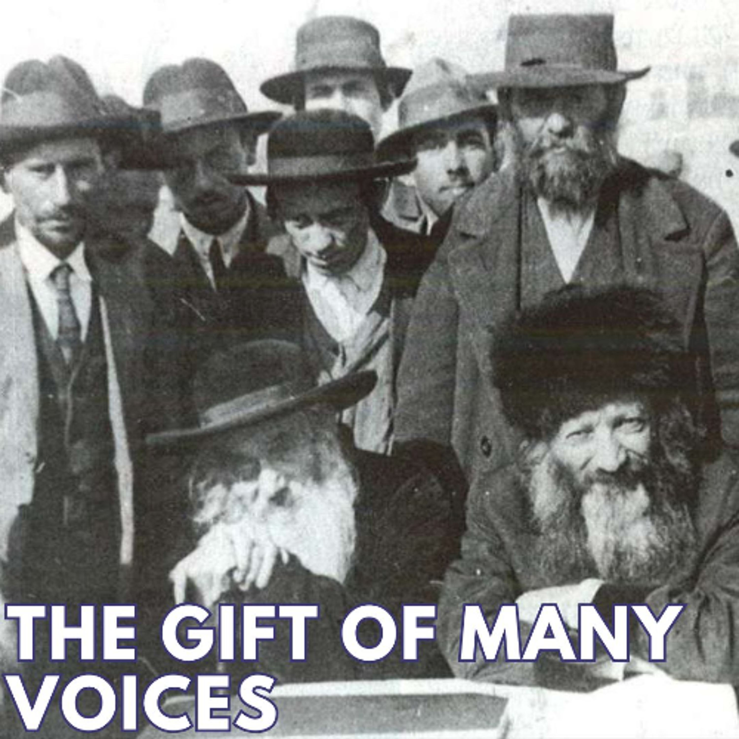 THE GIFT OF MANY VOICES THE GIFT OF MANY VOICES