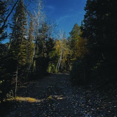 Ever (prod. CVRNVTE x tahtx)