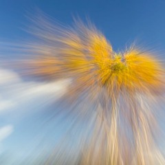 August - lilting beat