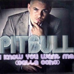 Pitbull - I Know You Want Me 2022 (Vol'demar Bootleg)
