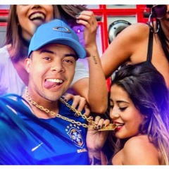 Revoada que Fala Vai rolar Salseiro festinha Clandestina - Mc $ouza (musica nova funk 2021)