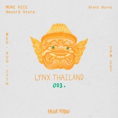 LYNX Thailand 003 - More Rice Record Store w/ Brent Burns
