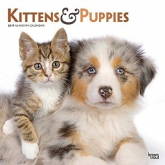 Access [EPUB KINDLE PDF EBOOK] Kittens & Puppies 2019 12 x 12 Inch Monthly Square Wal