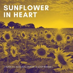 Sunflower In Heart  - Acoustic Guitar Loop Remake