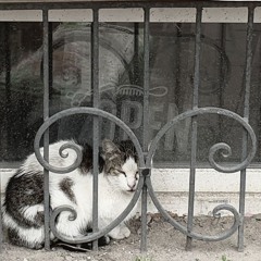 выкинь спрячь ты золомакс