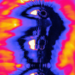 Non Balliamo Mai (NBM)