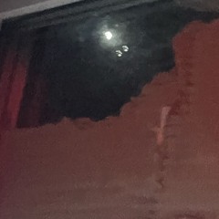 i'll keep them still - cover