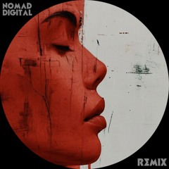 Tiago PZK - Señorita | nomad digital remix [FREE DOWNLOAD]
