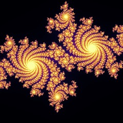 Diss The Establishment