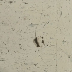 Joy ft. dragon witch