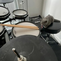 teriyaki boyz - tokyo drift - sped up