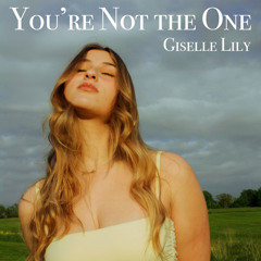 You’re Not The One