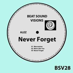 BSV28 - Alez - More Like You (Original Mix) -> SNIPPET