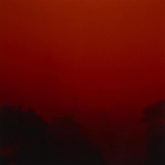 EVI VINE - LOVESONG (THE CURE)